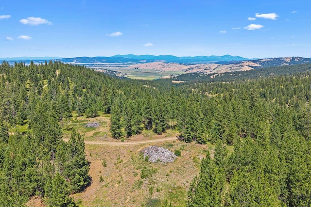 NKA E Belmont Rd, Mica, WA 99023 - photo 25