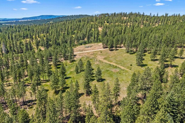 NKA E Belmont Rd, Mica, WA 99023 - photo 26