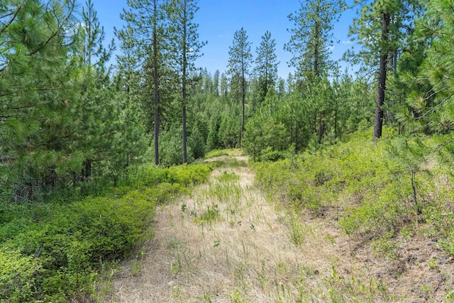 NKA E Belmont Rd, Mica, WA 99023 - photo 28