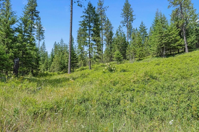 NKA E Belmont Rd, Mica, WA 99023 - photo 30