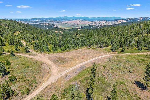 NKA E Belmont Rd, Mica, WA 99023 - photo 4