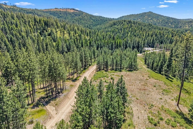 NKA E Belmont Rd, Mica, WA 99023 - photo 31