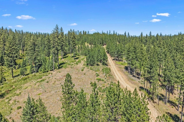 NKA E Belmont Rd, Mica, WA 99023 - photo 32