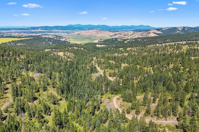 NKA E Belmont Rd, Mica, WA 99023 - photo 33