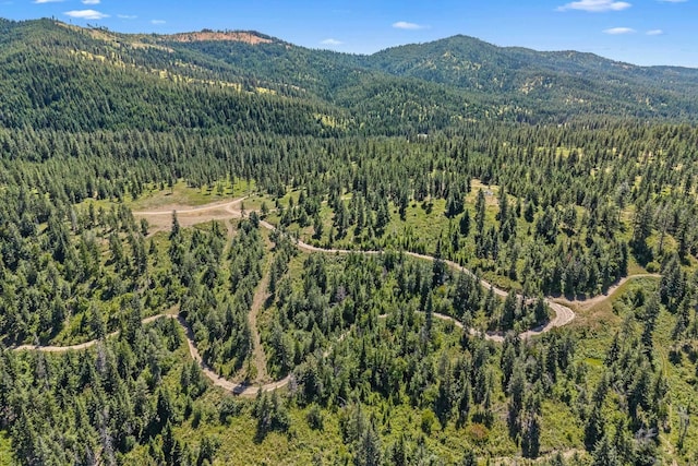 NKA E Belmont Rd, Mica, WA 99023 - photo 34