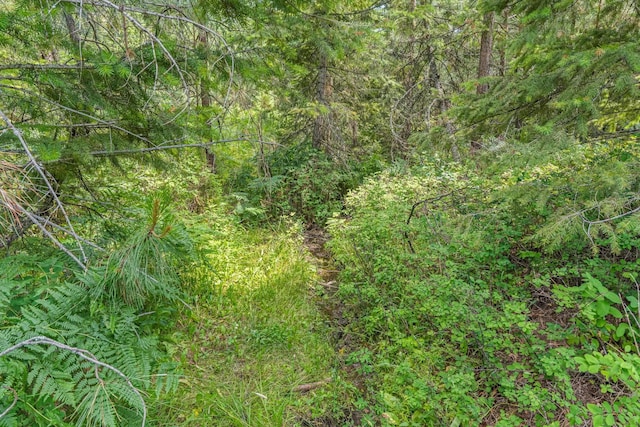 NKA E Belmont Rd, Mica, WA 99023 - photo 36