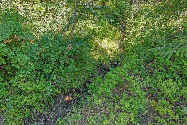 NKA E Belmont Rd, Mica, WA 99023 - photo 37