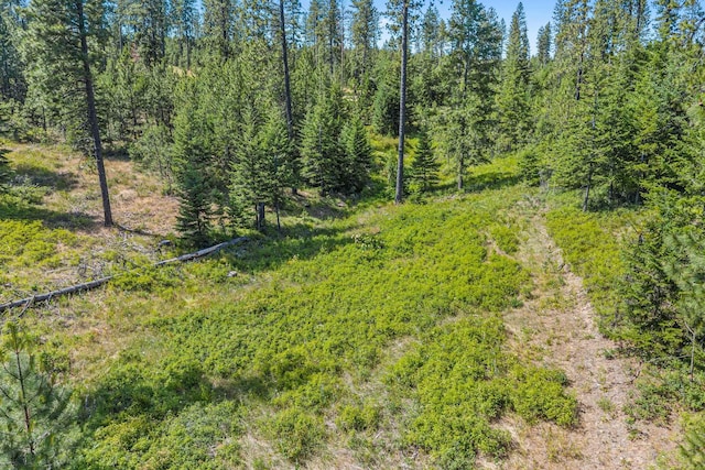 NKA E Belmont Rd, Mica, WA 99023 - photo 38