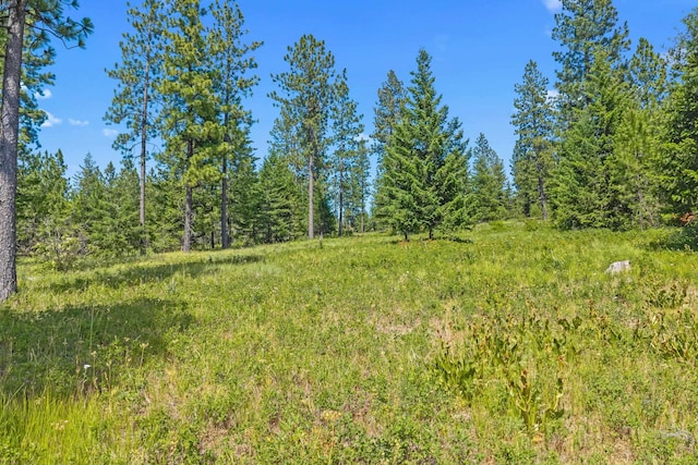NKA E Belmont Rd, Mica, WA 99023 - photo 39