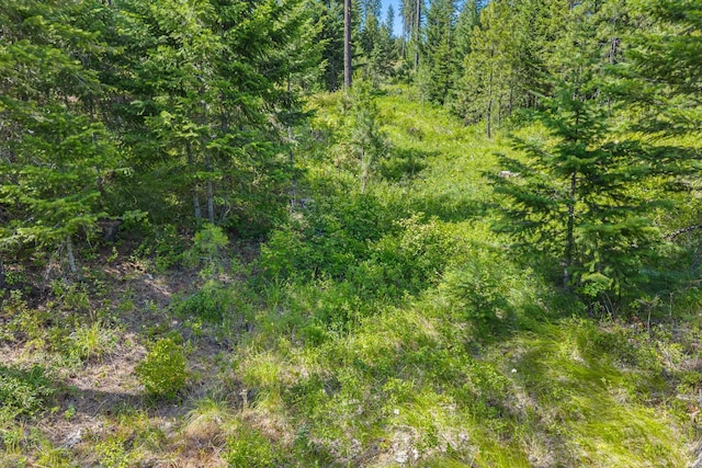 NKA E Belmont Rd, Mica, WA 99023 - photo 40