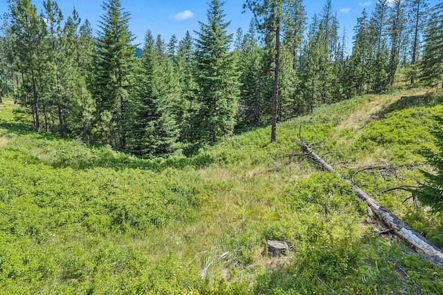 NKA E Belmont Rd, Mica, WA 99023 - photo 41