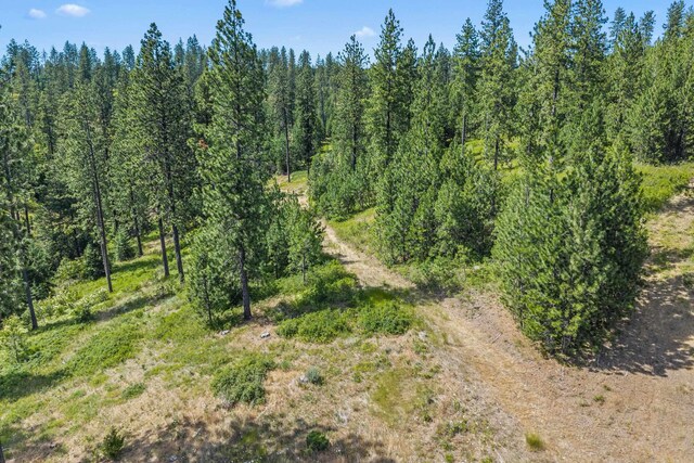 NKA E Belmont Rd, Mica, WA 99023 - photo 42
