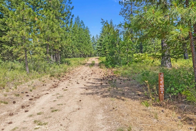 NKA E Belmont Rd, Mica, WA 99023 - photo 43