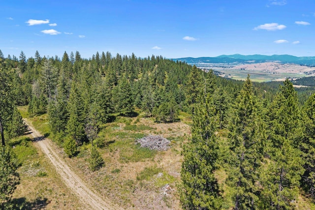 NKA E Belmont Rd, Mica, WA 99023 - photo 44