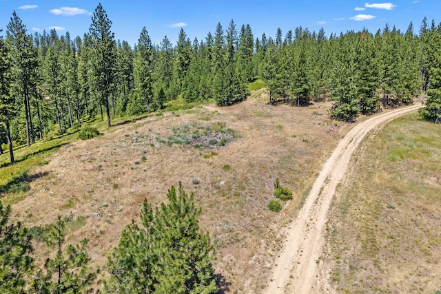 NKA E Belmont Rd, Mica, WA 99023 - photo 45