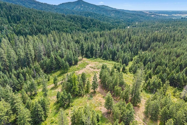 NKA E Belmont Rd, Mica, WA 99023 - photo 46