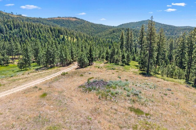 NKA E Belmont Rd, Mica, WA 99023 - photo 47