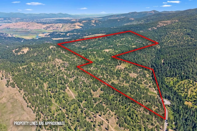 NKA E Belmont Rd, Mica, WA 99023 - photo 48