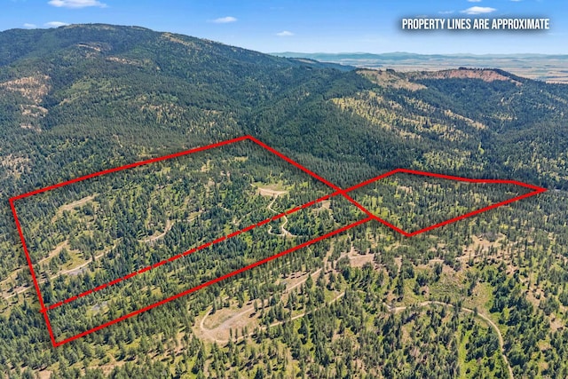 NKA E Belmont Rd, Mica, WA 99023 - photo 50