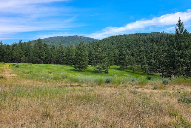 NKA E Belmont Rd, Mica, WA 99023 - photo 6