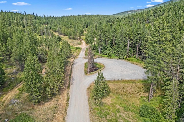 NKA E Belmont Rd, Mica, WA 99023 - photo 7