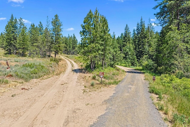 NKA E Belmont Rd, Mica, WA 99023 - photo 9