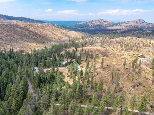 5135 Rail Canyon Rd, Springdale, WA 99173 - photo 11