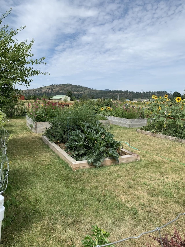 6211 N Blue Skies Ln, Newman Lake, WA 99025 - photo 46