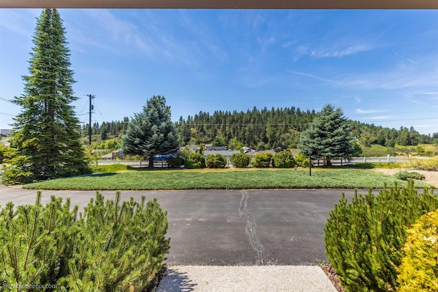 17907 E 8th Ave, Greenacres, WA 99016 - photo 3
