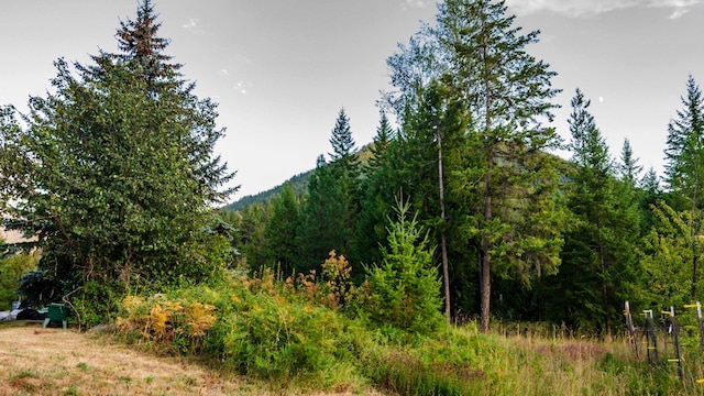 3934 Garvey Cir, Colville, WA 99114 - photo 18