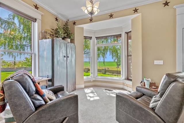 28752 Tramm Rd, Reardan, WA 99029 - living room with carpet floors and ornamental molding