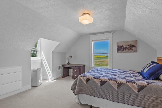 28752 Tramm Rd, Reardan, WA 99029 - bedroom with a textured ceiling, lofted ceiling, carpet flooring, and multiple windows