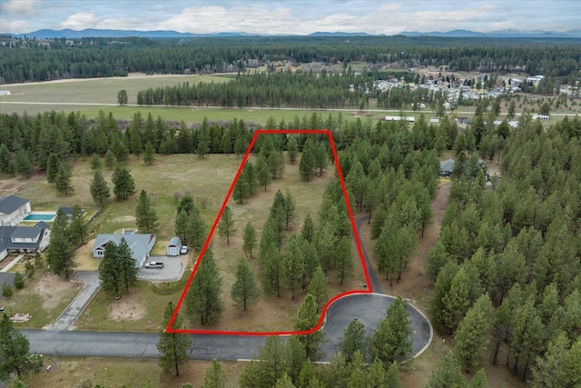 3517 E Elena Ln, Chattaroy, WA 99003 - photo 1