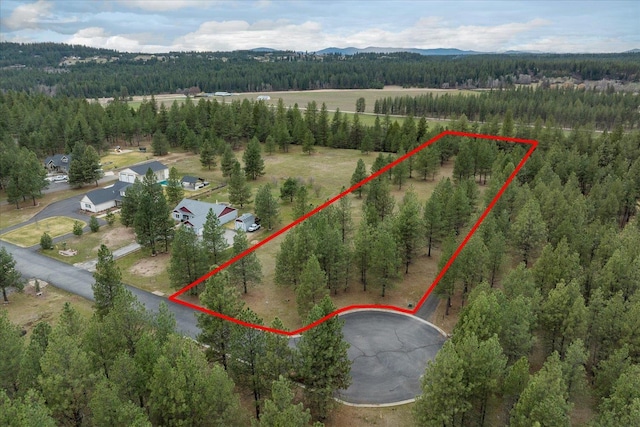 3517 E Elena Ln, Chattaroy, WA 99003 - photo 2