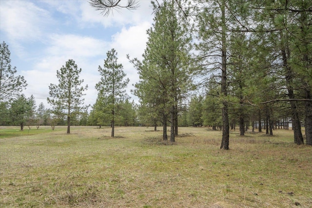 3517 E Elena Ln, Chattaroy, WA 99003 - photo 12