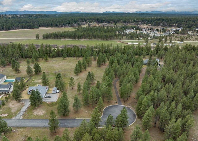 3517 E Elena Ln, Chattaroy, WA 99003 - photo 16