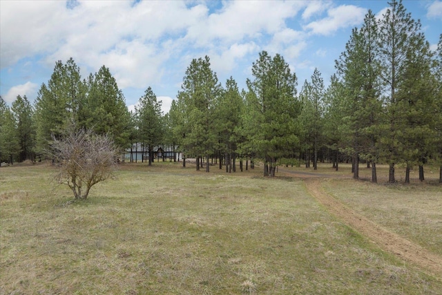 3517 E Elena Ln, Chattaroy, WA 99003 - photo 19