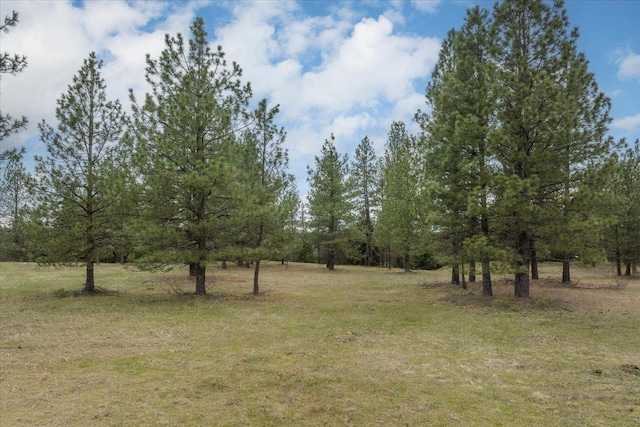 3517 E Elena Ln, Chattaroy, WA 99003 - photo 20