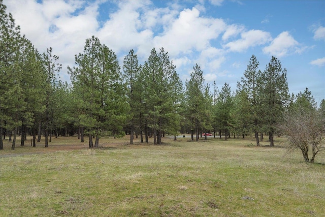 3517 E Elena Ln, Chattaroy, WA 99003 - photo 21