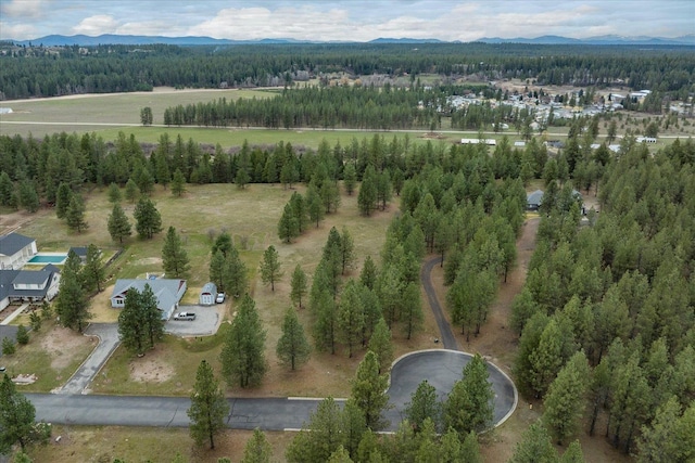 3517 E Elena Ln, Chattaroy, WA 99003 - photo 22