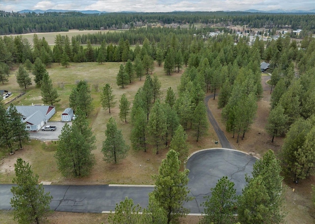 3517 E Elena Ln, Chattaroy, WA 99003 - photo 23