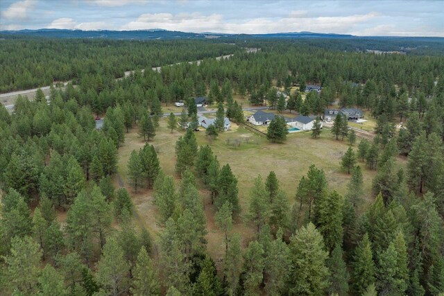 3517 E Elena Ln, Chattaroy, WA 99003 - photo 24