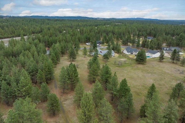 3517 E Elena Ln, Chattaroy, WA 99003 - photo 25