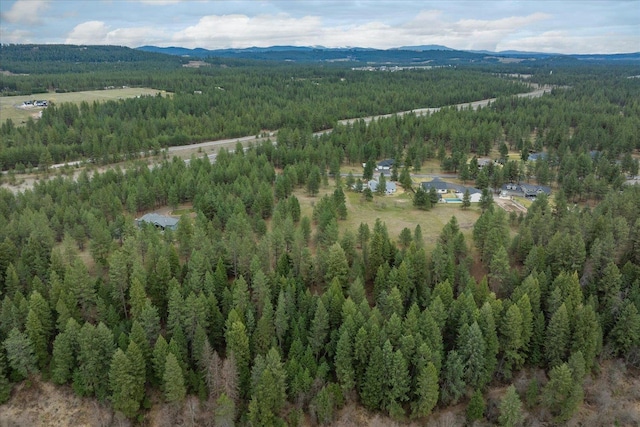 3517 E Elena Ln, Chattaroy, WA 99003 - photo 26