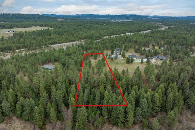 3517 E Elena Ln, Chattaroy, WA 99003 - photo 27