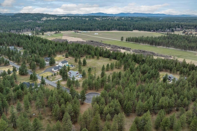 3517 E Elena Ln, Chattaroy, WA 99003 - photo 29