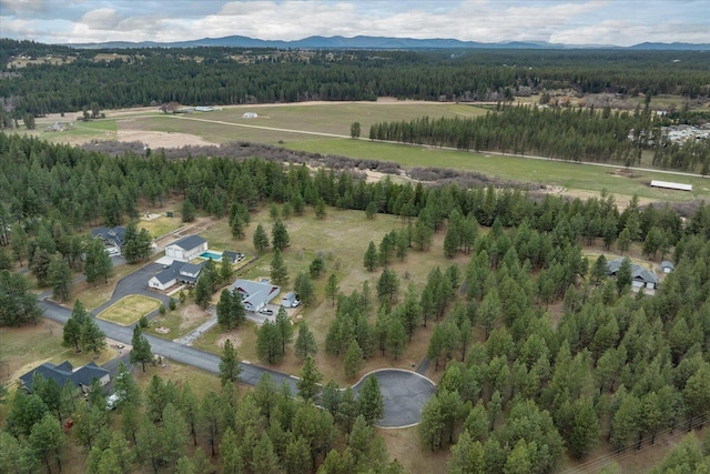 3517 E Elena Ln, Chattaroy, WA 99003 - photo 30