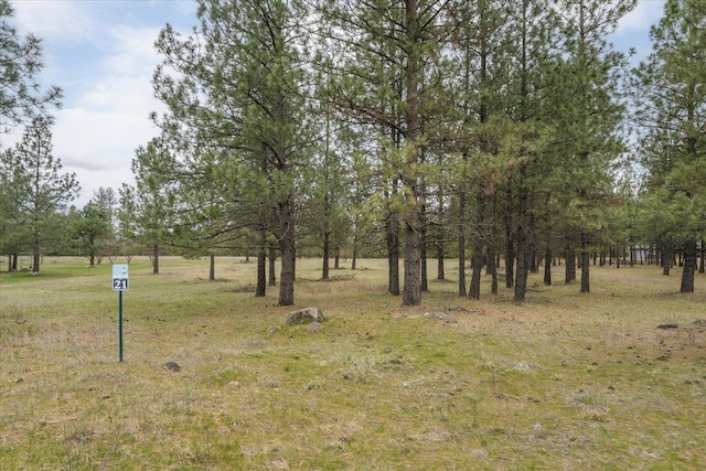 3517 E Elena Ln, Chattaroy, WA 99003 - photo 4