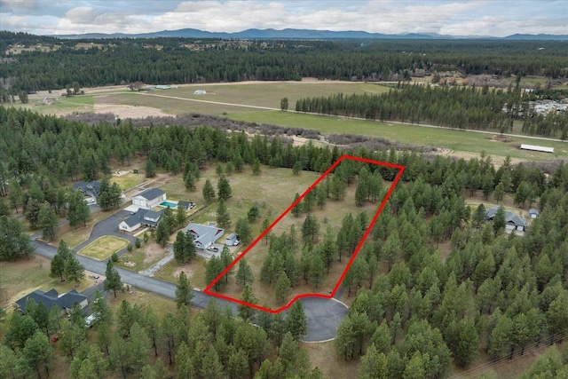 3517 E Elena Ln, Chattaroy, WA 99003 - photo 31