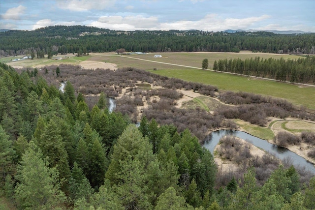 3517 E Elena Ln, Chattaroy, WA 99003 - photo 32